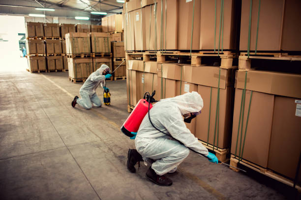 Best Ant Control Services  in Westerville, OH