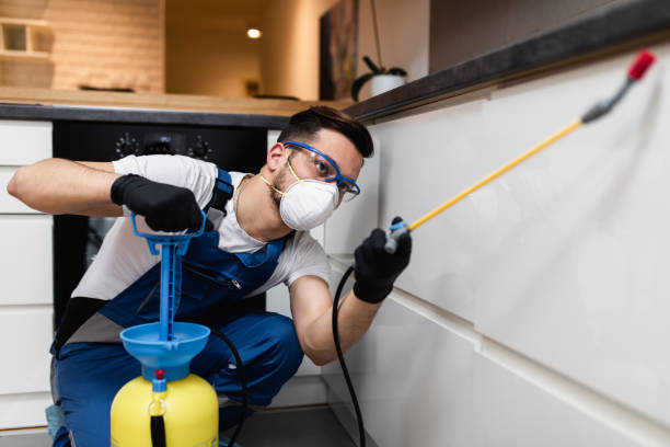 Best Termite Control Services  in Westerville, OH