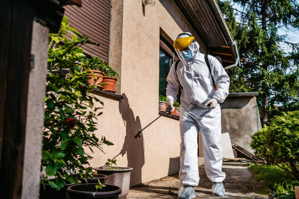 Best Mosquito Control Services  in Westerville, OH