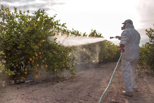 Best Residential Pest Control  in Westerville, OH