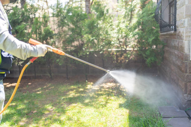 Best Pest Inspection Near Me  in Westerville, OH