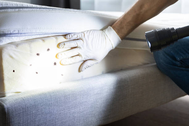 Best Best Pest Control Companies  in Westerville, OH