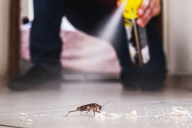 Best Affordable Pest Control Services  in Westerville, OH