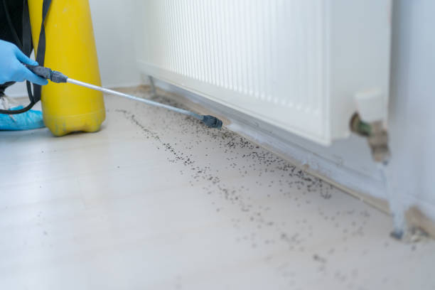 Westerville, OH Pest Control Company
