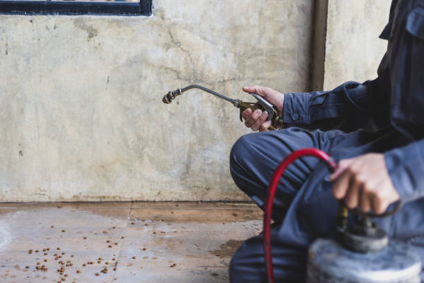 Best Pest Control Near Me  in Westerville, OH