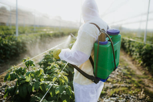 Best Insect Control  in Westerville, OH